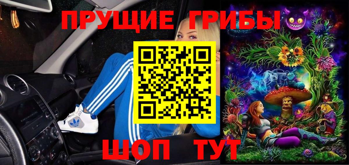 Апатиты  Псилоцибиновые грибы мицелий  Вход с VPN 