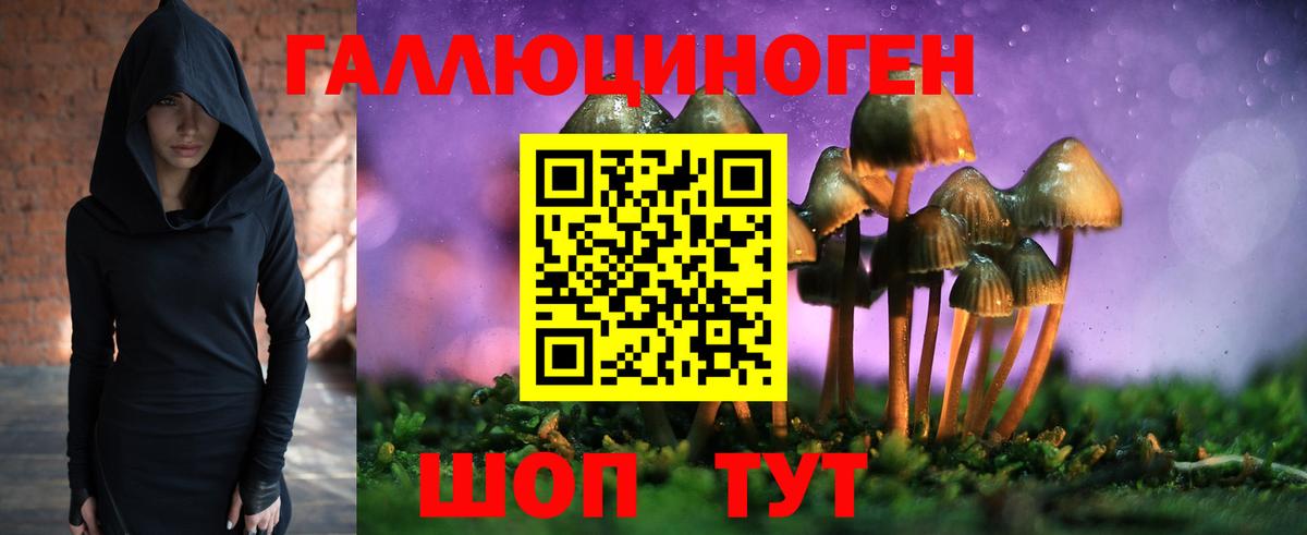 Галлюциногенные грибы MAGIC MUSHROOMS Апатиты